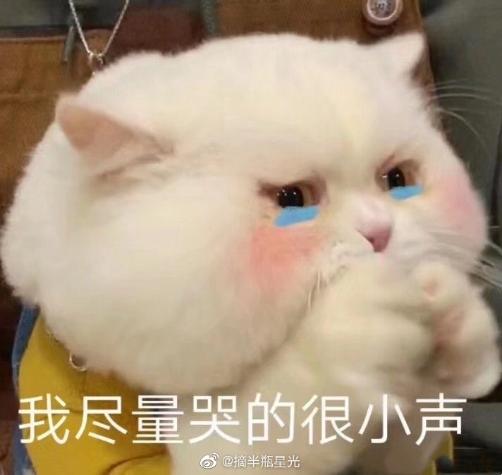 头包铁是什么意思？别人说你头铁怎么回答　本文共（629字）