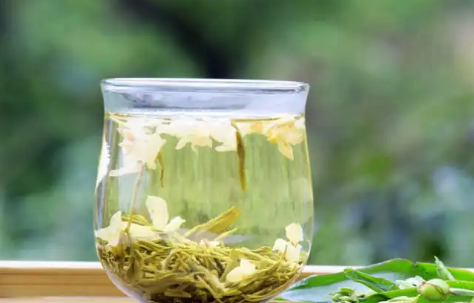 新鲜茉莉花可以直接泡水喝吗(鲜茉莉花能直接泡水喝吗)