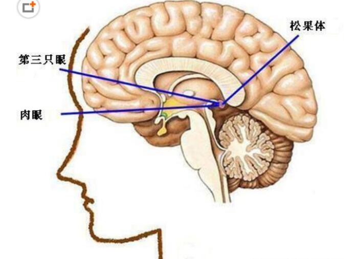 开了天眼的人后果有哪些,开了天眼的人啥特征？　本文共（987字）