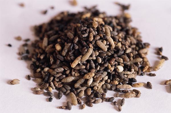 蟑螂屎和老鼠屎区别,蟑螂和老鼠可以用什么消灭？　本文共（969字）