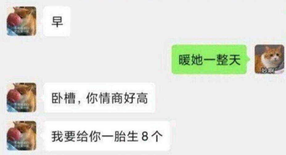 暖她一整天什么意思？什么梗？应该怎么回复？　本文共（866字）