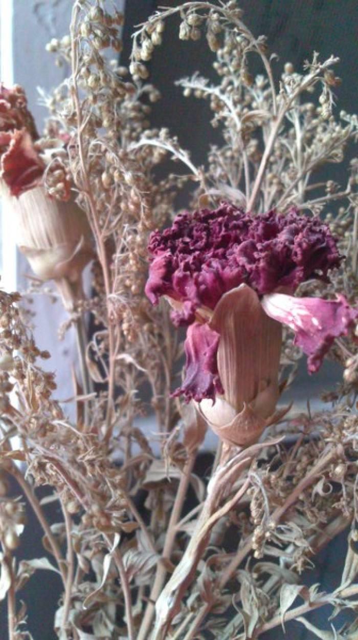 家里放干花对风水不好的原因,做干花为什么要倒挂？　本文共（732字）