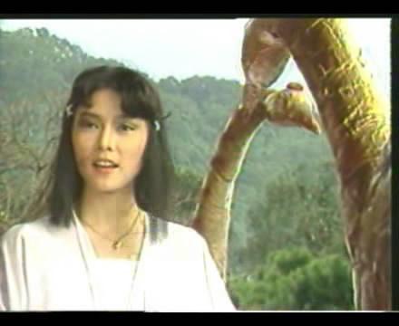 官晶华年轻时候的照片组图,郑少秋第二老婆官晶华家庭背景　本文共（1211字）