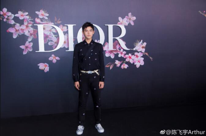 陈飞宇为什么叫阿瑟,他怎么是美国国籍　本文共（958字）