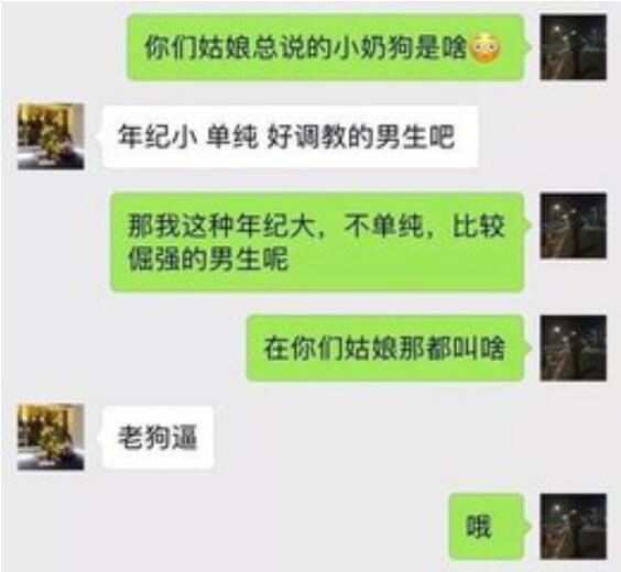小狼狗小奶狗的意思解释图,小奶狗和小狼狗的对比区别在哪　本文共（1059字）