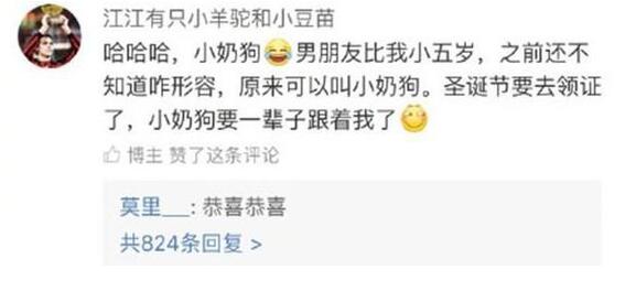 小狼狗小奶狗的意思解释图,小奶狗和小狼狗的对比区别在哪　本文共（1059字）