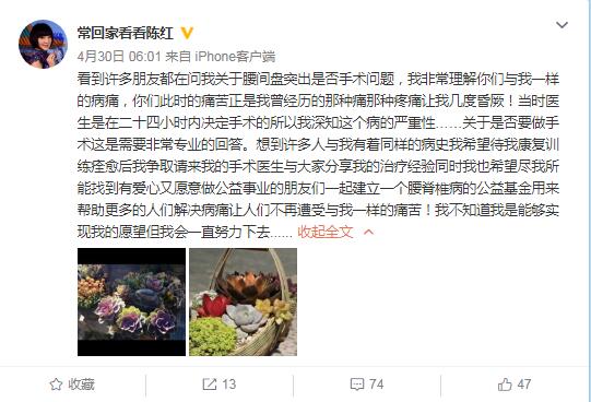 蔡国庆和陈红什么关系,陈红最新现状如何没瘫痪吧？　本文共（1095字）