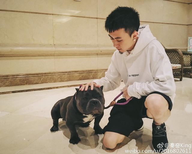 秦奋的爸爸是秦晓还是秦勉？秦奋的身价现在有多少　本文共（783字）