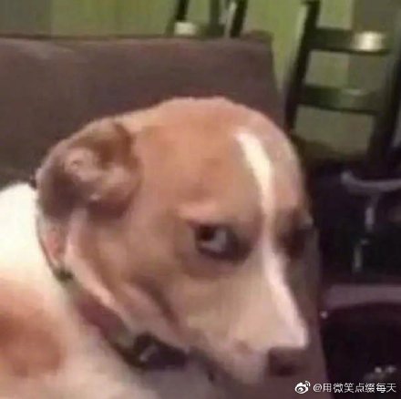 女生说深井冰什么意思,别人说你深井冰用什么反驳？　本文共（982字）
