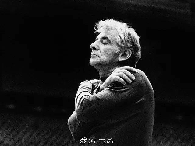音乐指挥家是怎么指挥的？指挥家有什么用作用重要吗　本文共（917字）