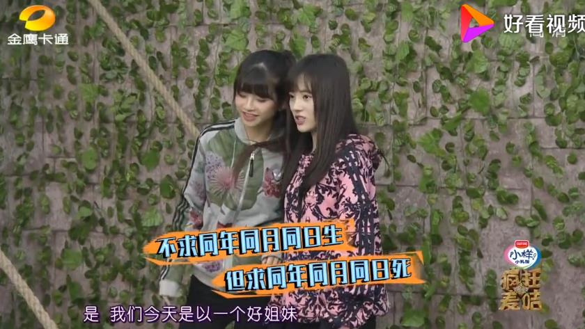 林思意为什么叫小四、四鞠、小黑龙、痛苦歌姬？答案来了！林思意鞠婧炜吵架的原因是什么？　本文共（1130字）