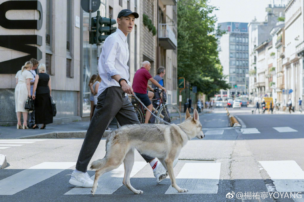 杨佑宁和宁静是什么关系,杨佑宁狂追宁静在谈恋爱？　本文共（1030字）