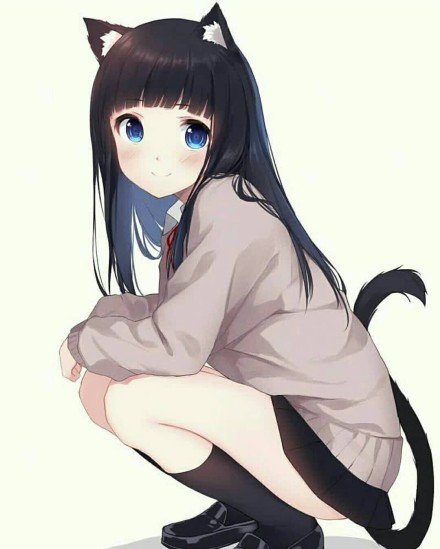 小奶猫女朋友什么意思？小野猫和小奶猫女朋友有何不同　本文共（921字）