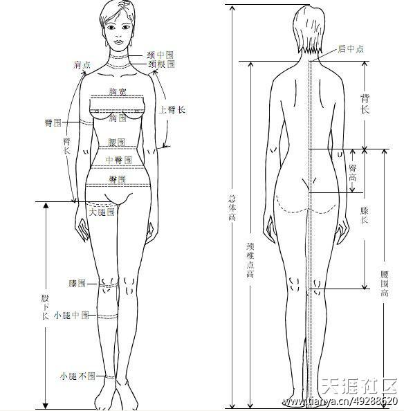 吴亦凡腿长113从哪量的？国际腿长测量方法图　本文共（1109字）