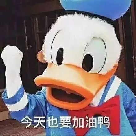 今天也要加油鸭什么梗？冲鸭又是什么梗　本文共（778字）