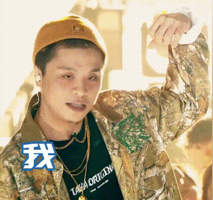 夏之禹年龄多大哪里人,夏之禹泰国大象是什么梗？　本文共（742字）