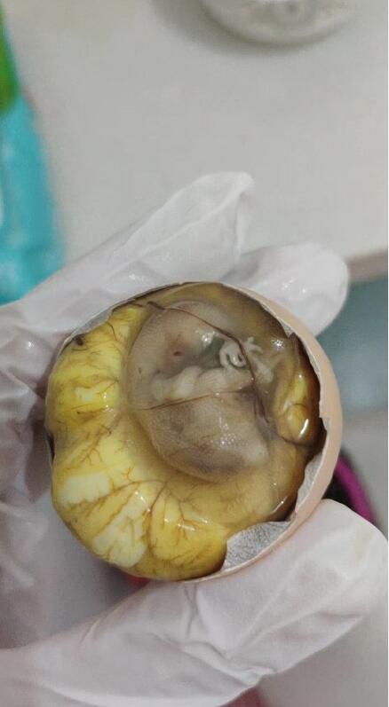 活珠子最好是多少天的蛋,小孩子吃活珠子容易早熟　本文共（929字）