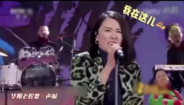 臧鸿飞春晚被挡脸图片,他为什么叫滚圈黄页？　本文共（1383字）