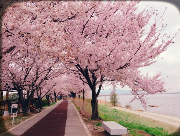 一起走花路可以对朋友说吗,祝福朋友走花路可以吗？　本文共（1117字）