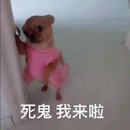 死鬼在情侣之间是什么意思,女生叫你死鬼是喜欢吗？　本文共（822字）