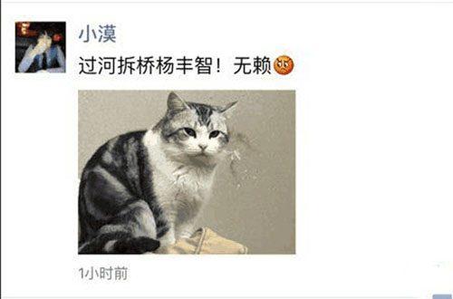 lol小智为什么消失了不火了,小智现在在哪直播了？　本文共（943字）