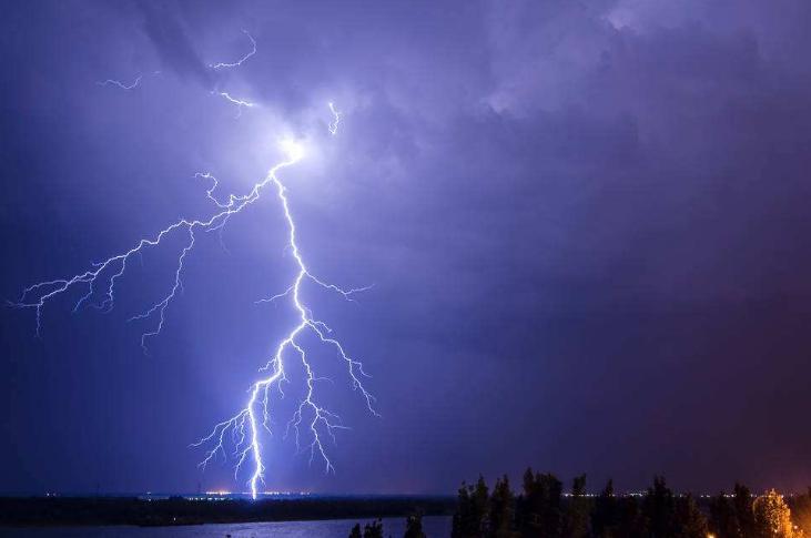 雷击木为什么那么贵,雷击木不能碰水是怎么回事？　本文共（1497字）