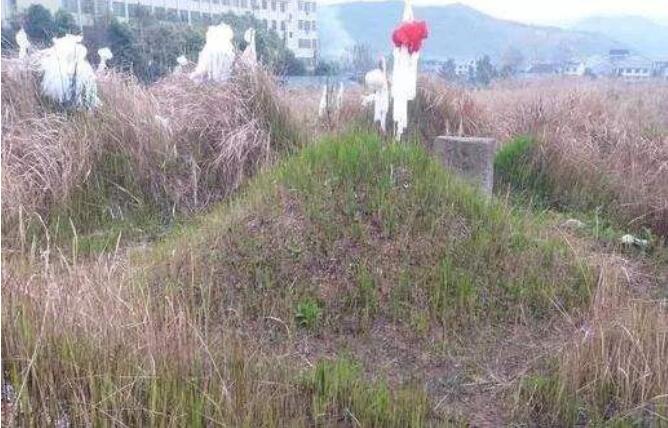 坟上不长草是绝户坟吗,对后代好不好　本文共（890字）
