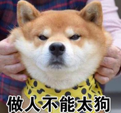 网络用语很狗是什么意思,你真的很狗是什么梗？　本文共（952字）