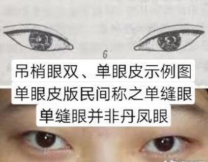 吊梢眼的女人有福气？还是无情无义？克夫吗？　本文共（716字）