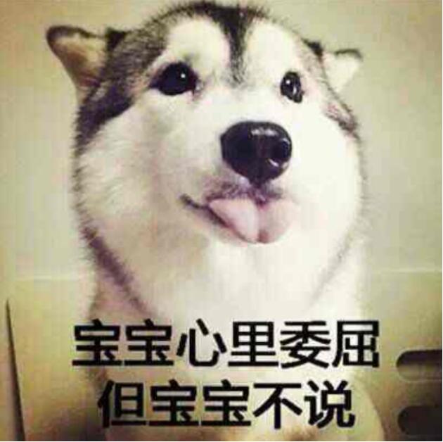 Preppy表情包什么意思？prprpr二哈表情包图片　本文共（1202字）