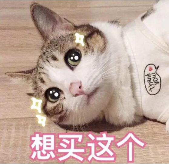 Preppy表情包什么意思？prprpr二哈表情包图片　本文共（1202字）