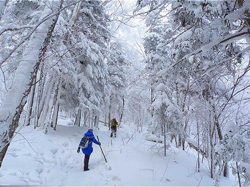 哈尔滨雪乡是一年四季都有雪吗？元旦前后去雪乡合适吗　本文共（782字）