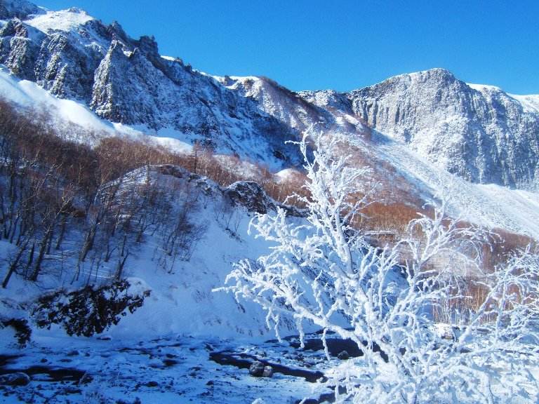 哈尔滨雪乡是一年四季都有雪吗？元旦前后去雪乡合适吗　本文共（782字）