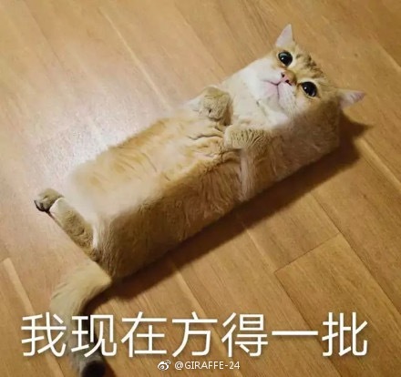 越努力越幸运出处是谁说的？运气特别差一般是什么原因导致的　本文共（1026字）