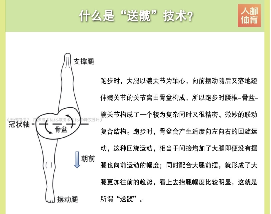 法拉赫穿的是什么鞋？法拉赫送髋是什么意思　本文共（883字）