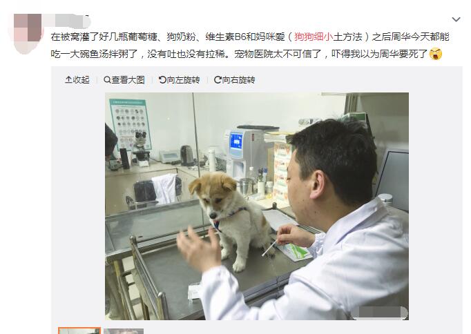 狗狗得细小能自愈吗,得细小的狗死前状态图　本文共（1057字）
