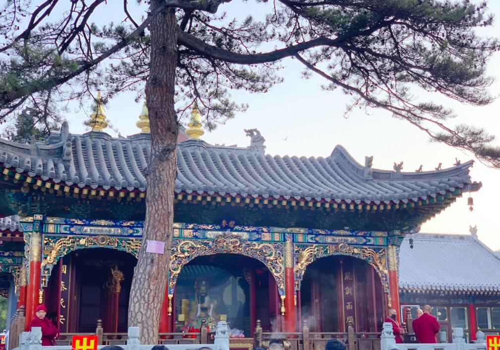 五台山五爷庙是杨五郎出家的庙吗,五爷庙求什么最灵？　本文共（1043字）