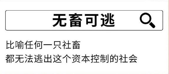 比社畜更卑微的是什么？社畜不易是什么意思　本文共（1283字）
