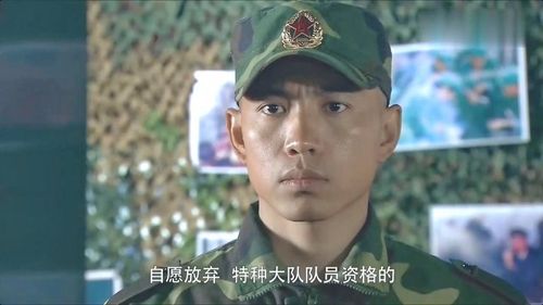 谷智鑫演过的电视剧，演员鲍鲲(谷智鑫主演的电视剧)