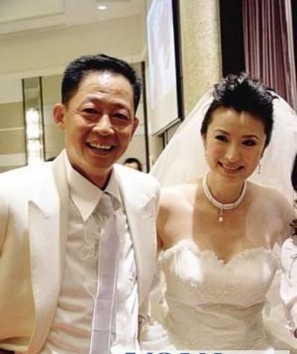 王志文的老婆，梅艳芳遗产(梅艳芳的遗产官司)