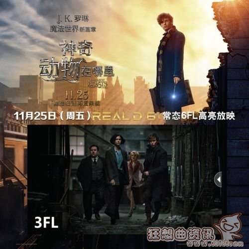 海洋奇缘和神奇动物在哪里哪个更好看的一些(海洋奇缘动物图片)