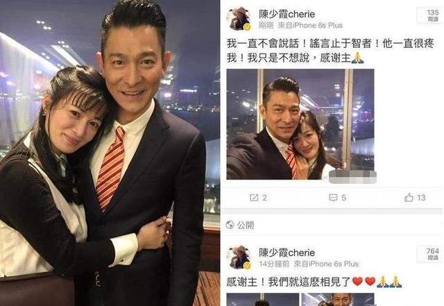 刘德华喜欢过陈少霞吗(刘德华和陈少霞的天与地)