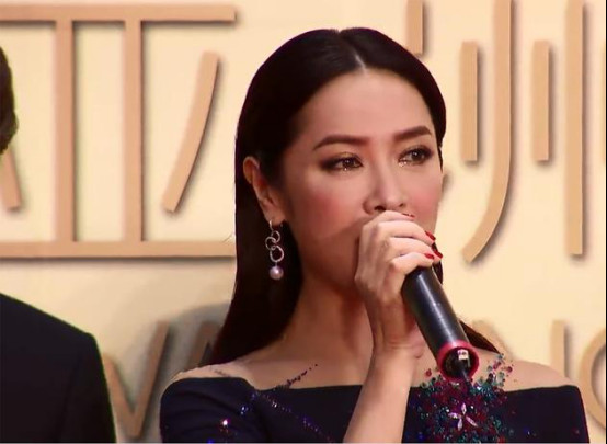 向海岚是向华胜的女儿吗？向海岚结婚了吗站(向华胜的老婆陈岚图片)