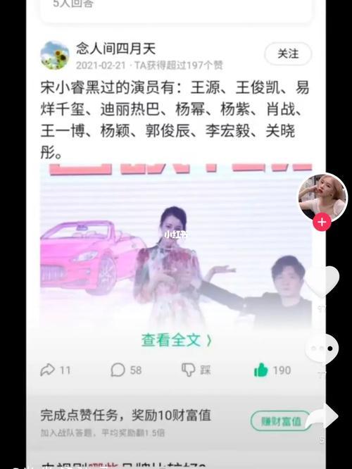 宋小睿黑过哪些演员，宋小睿的家世(宋小睿黑过几个演员)