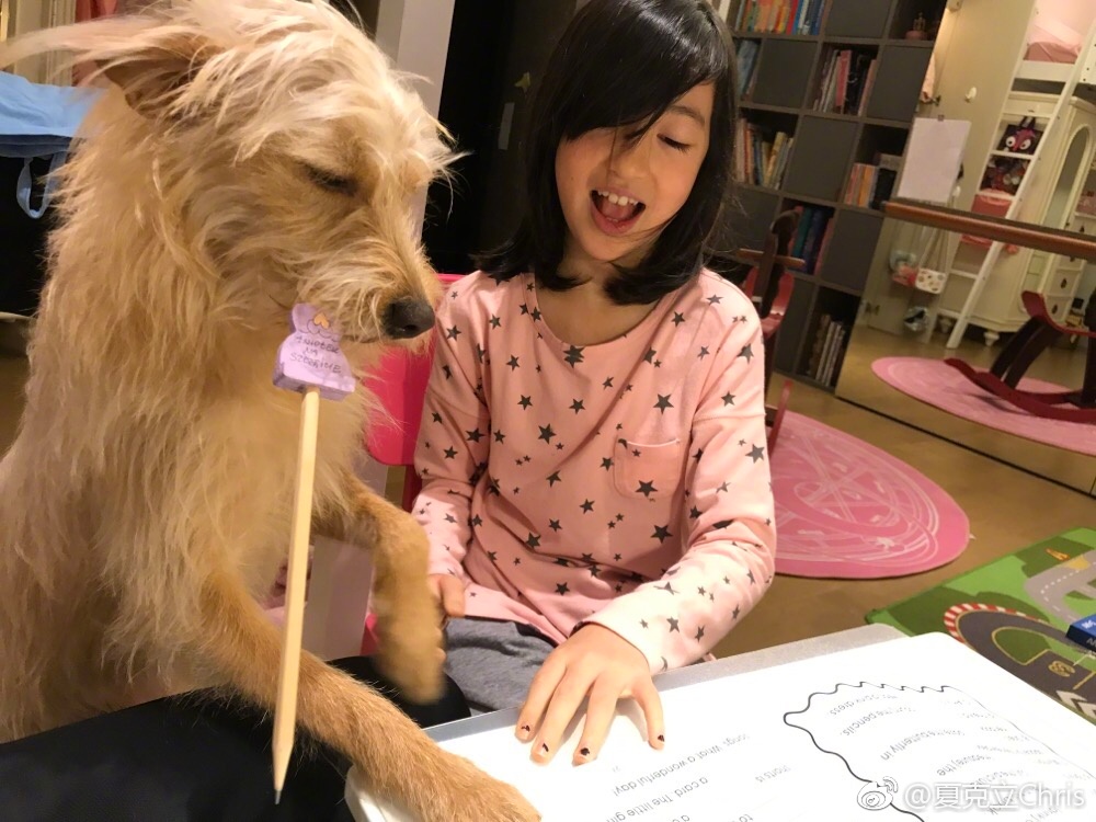 夏克立狗狗是什么品种的？他的女儿夏天po