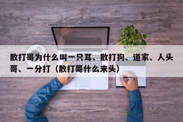 散打哥为什么叫一只耳、散打狗、道家、人头哥、一分打（散打哥什么来头） 