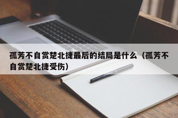 孤芳不自赏楚北捷最后的结局是什么（孤芳不自赏楚北捷受伤） 