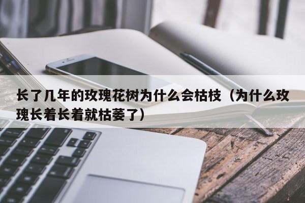 长了几年的玫瑰花树为什么会枯枝（为什么玫瑰长着长着就枯萎了） 