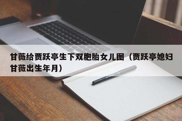 甘薇给贾跃亭生下双胞胎女儿图（贾跃亭媳妇甘薇出生年月） 