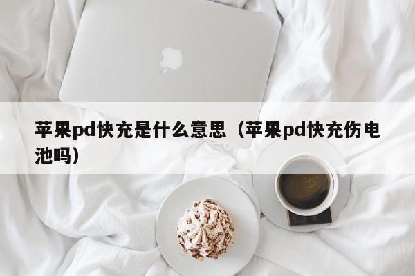 苹果pd快充是什么意思（苹果pd快充伤电池吗） 